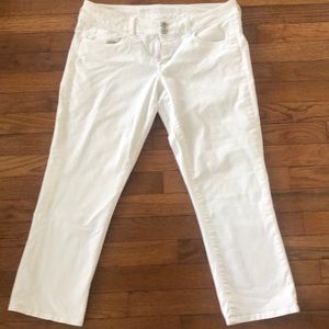 American Eagle Artist Cropped/Capris sz 10 white